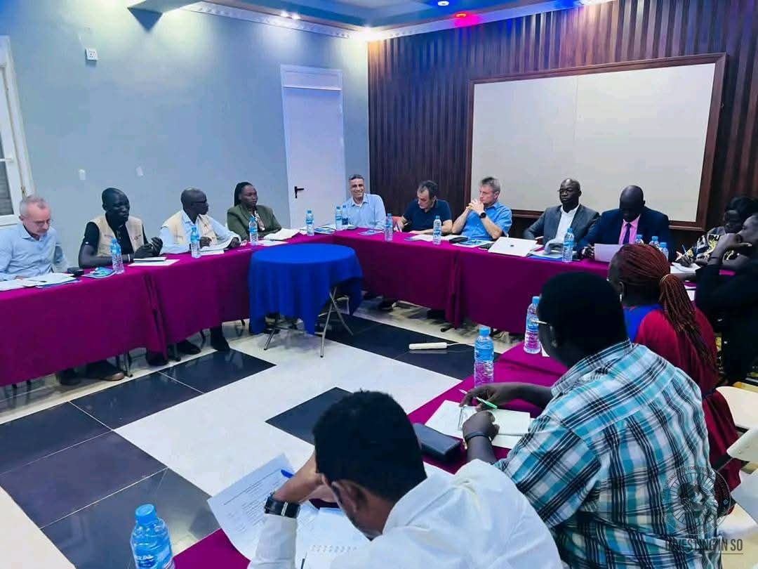 HOFAD in a roundtable coordination meeting with international partners